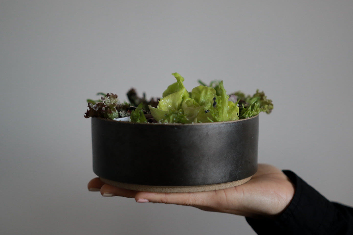 HASAMI PORCELAIN(ハサミポーセリン)とはどんな器?