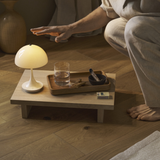 パンテラ 160 ポータブルV3