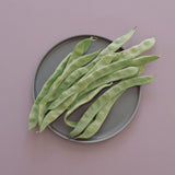 HASAMI PORCELAIN グレーコレクション プレート Φ185×12 HDG103 ダークグレー