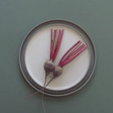 HASAMI PORCELAIN グレーコレクション プレート Φ220×12 HDG104 ダークグレー