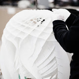 パテラ ペンダントライト