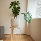 【オンライン限定特典】stool60 スツール 60 ナチュラルラッカー カラー | artek(アルテック)