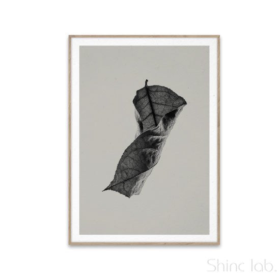 PAPER COLLECTIVE（ペーパーコレクティブ）ポスター 50×70cm Sabi Leaf