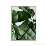 PAPER COLLECTIVE(ペーパーコレクティブ)ポスター 50×70cm グリーンホーム 01