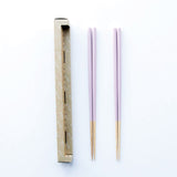 2020年限定カラー STIIK スティック ガリ (2膳セット)