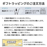 1616/arita japan TY パレス 110 & 160 各2枚(計4枚)セット【化粧箱入】