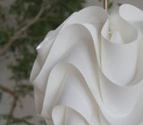 サイナスライン 50周年アニバーサリーモデル | レ・クリント