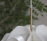 サイナスライン 50周年アニバーサリーモデル | レ・クリント