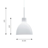 トルボー 220 グラスペンダントライト