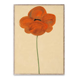 PAPER COLLECTIVE(ペーパーコレクティブ)フォトポスター 50×70cm Orange Vallmo