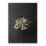 PAPER COLLECTIVE(ペーパーコレクティブ)フォトポスター 50×70cm Still Life 04