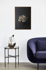 PAPER COLLECTIVE(ペーパーコレクティブ)フォトポスター 50×70cm Still Life 04