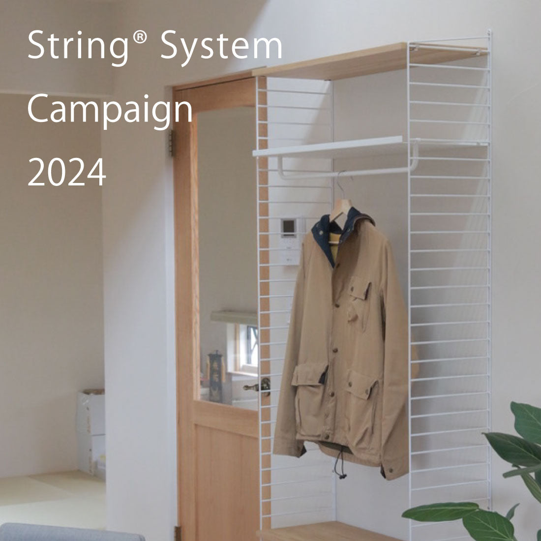 String System CAMPAIGN 2024(2/10-2/26)