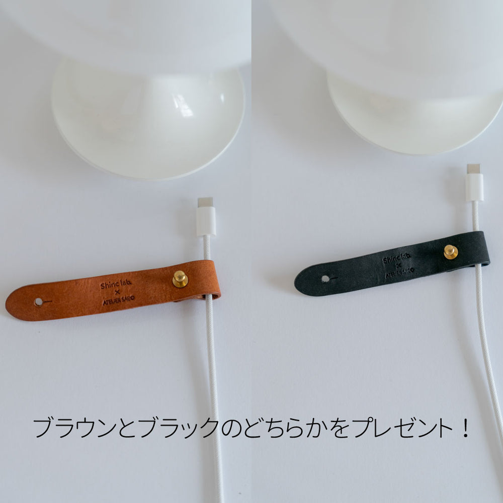 発売開始】パンテラ ポータブル 160 オパール・ベージュ V3