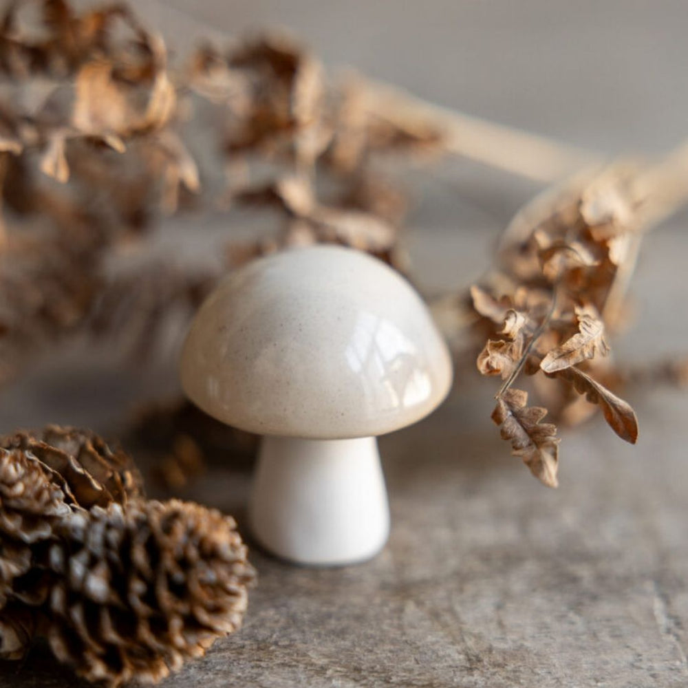 きのこ STORE FACTORY（ストアファクトリー） BOVIK ceramic まるきのこ