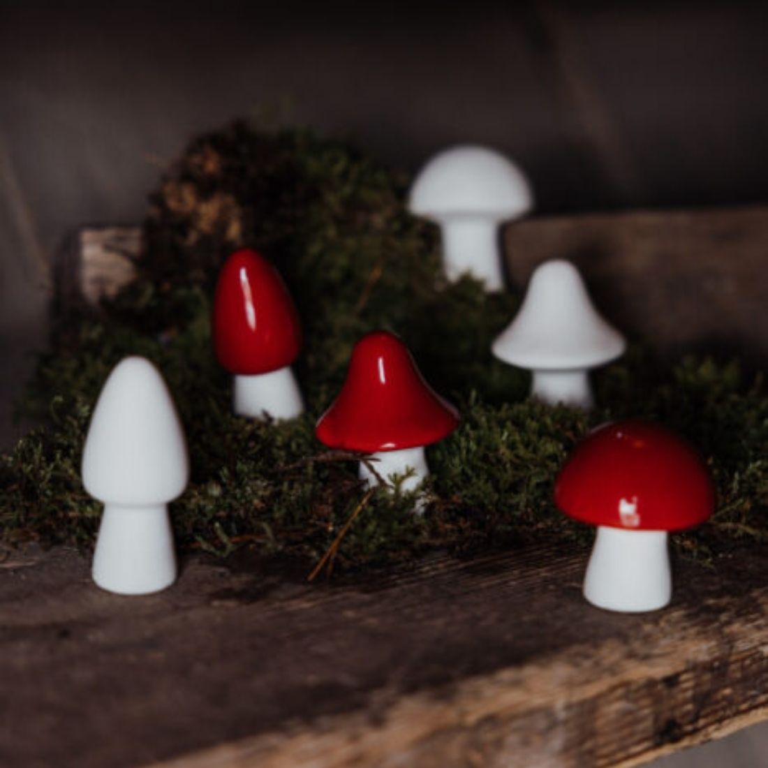 きのこ丸ページ STORE FACTORY（ストアファクトリー） BOVIK ceramic まるきのこ