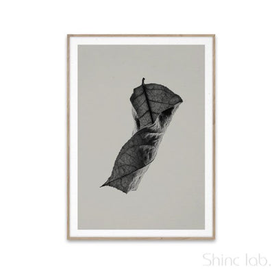 PAPER COLLECTIVE（ペーパーコレクティブ）ポスター 50×70cm Sabi Leaf