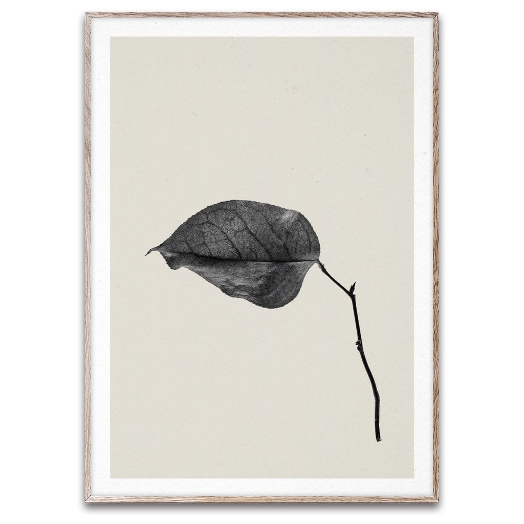 公式通販サイトセール PAPER 50×70cm COLLECTIVE（ペーパーコレクティブ）ポスター その他