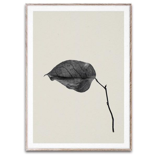 PAPER COLLECTIVE（ペーパーコレクティブ）ポスター 50×70cm Sabi Leaf 03