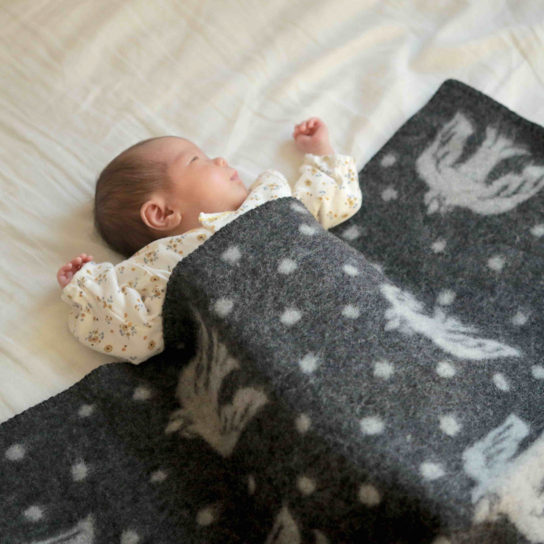 KLIPPAN（クリッパン）ウール ミニブランケット 65x90 birds in the